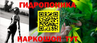 дживик Нальчик