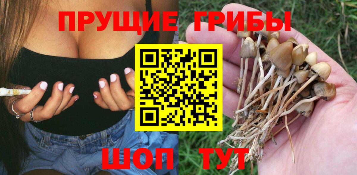 Галлюциногенные грибы Cubensis Барабинск